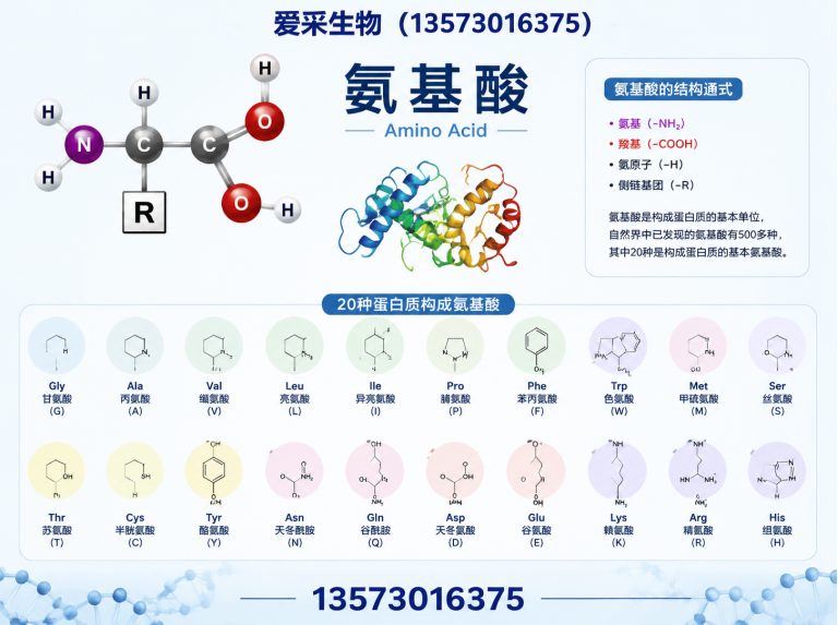 东明县氨基酸展示图